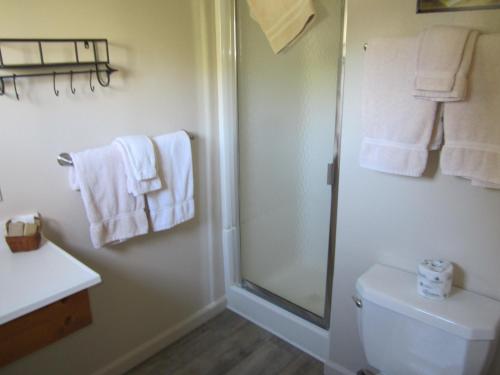 a bathroom with a shower and a toilet and towels at Sequoia Lodge in Kernville