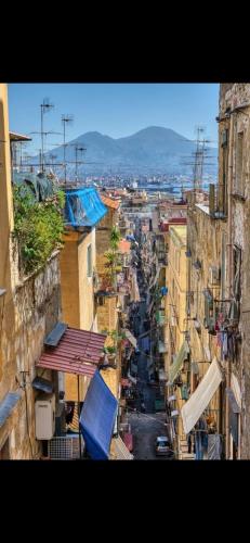 Vecchia Napoli - Anticaglia