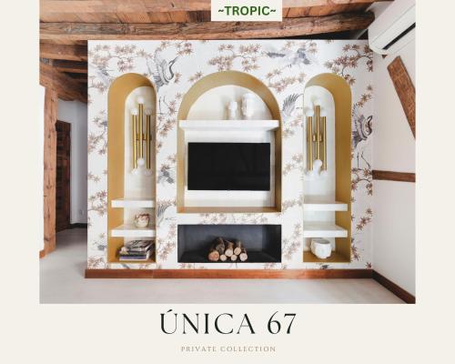 TROPIC by Unica67, diseño junto a la Catedral