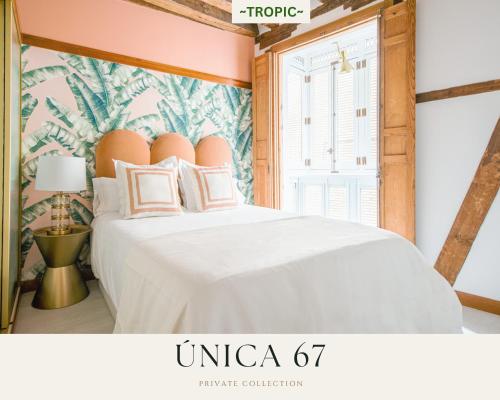 TROPIC by Unica67, diseño junto a la Catedral