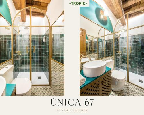 TROPIC by Unica67, diseño junto a la Catedral
