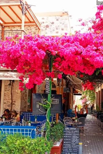 Kos View City , Luxury Old Town