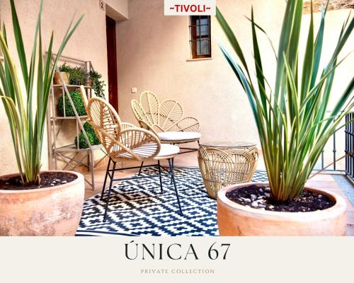 TIVOLI by Unica 67, terraza en patio histórico