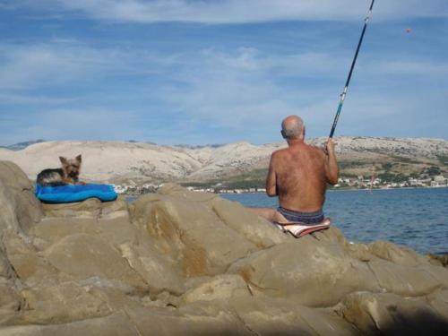 a man sitting on the rocks fishing with a dog at Apartments Alma in Pag