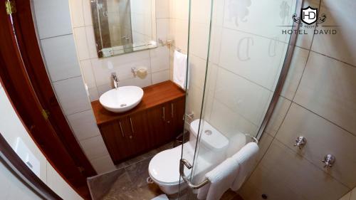Koupelna v ubytování Hotel David