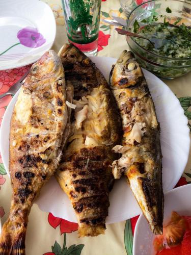 Comida en el departamento o alrededores