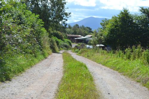 a dirt road leading to a house on a mountain at Annaswood B&B in Cahir
