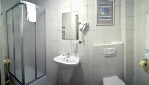 a bathroom with a shower and a toilet and a sink at Zamek Camelot in Dębica