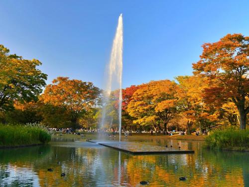 -Oymacho- 2-minute walk from Yoyogi-Uehara Station! Direct access to Shinjuku Station in just 5 minutes!