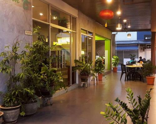 ein Restaurant mit Topfpflanzen auf dem Boden und einem Tisch in der Unterkunft City Inn in Kuching