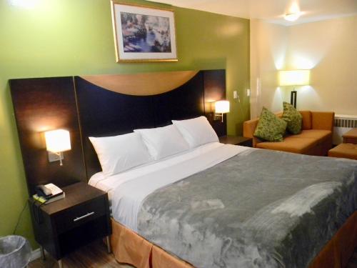 une chambre avec un grand lit et un canapé dans l'établissement American Plaza Motel, à London