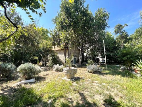 Apartments Jugo i bura