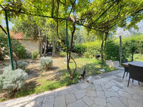 Apartments Jugo i bura