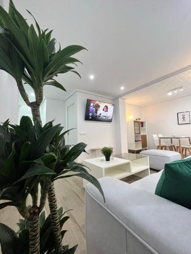 Modern Centric Apartment