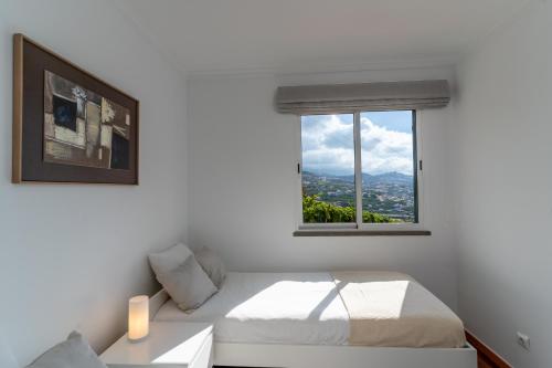 Lobos View