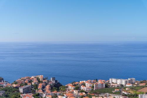 Lobos View