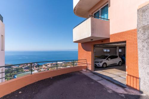 Lobos View