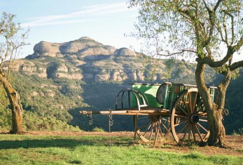 a cart sitting next to a tree in a field at Cal Vidal in Mura