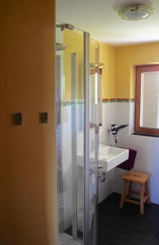 a bathroom with a shower and a sink at Haus Farbenklang in Zwiesel