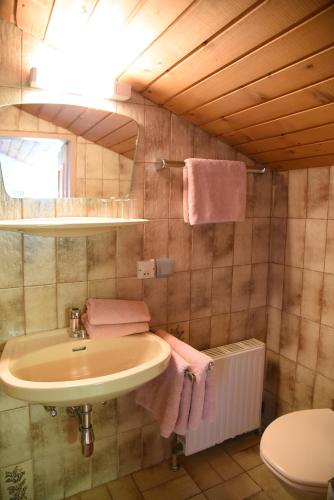 a bathroom with a sink and a toilet at Payrhof in Annaberg im Lammertal