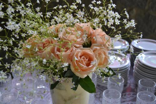 a vase filled with pink roses on a table at Pousada Canto do Curió Paraty in Paraty