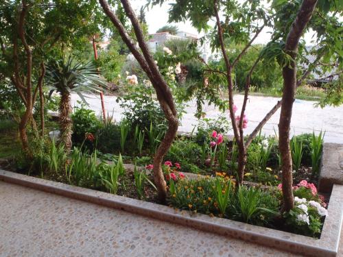 a garden of flowers and trees in a park at Apartments Đurašević in Sveti Stefan