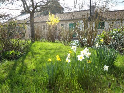 a garden with white and yellow flowers in the grass at B&B La Maison de L'Aubette in Magny-en-Vexin