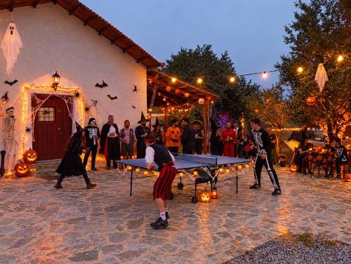 Aggelos Gardenhouse of Volos