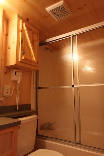 a bathroom with a stainless steel shower in a kitchen at Blackhawk RV Campground Loft Cabin 11 in Milton
