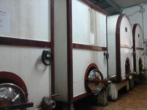 a row of white horses in a barn with their stalls at Agriturismo Il Ciabot in Barolo