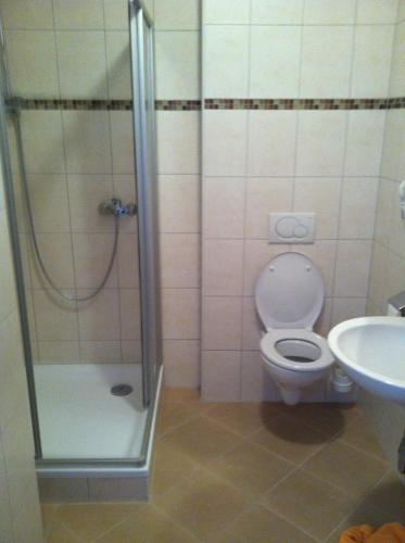 a bathroom with a shower and a toilet and a sink at Werfenerhof in Werfen