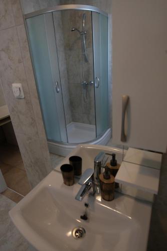 y baño con lavabo y ducha acristalada. en Sea View Apartments Nina, en Vrsi