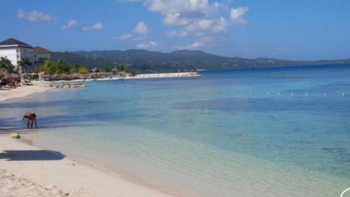 a beach with a person standing in the water at Beryls at Seawind on the Bay , Montego Bay , Jamaica in Montego Bay