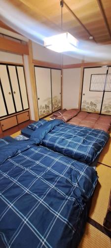 いろ葉