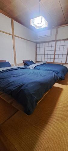 いろ葉