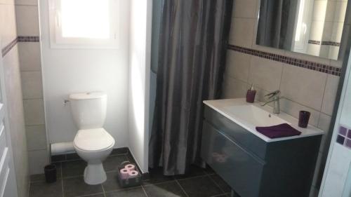 Bilik mandi di Chambres d'hôtes, B&B climatisées LA BORRELLIENNE