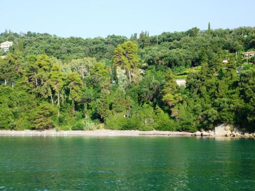 a view of the shore of a river with trees at Hotel Perama in Perama