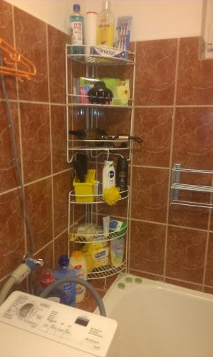 a bathroom with a shelf over the bath tub at Green Apartment in Odorheiu Secuiesc