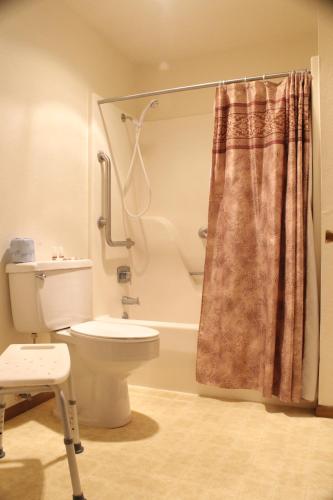 a bathroom with a toilet and a shower at The Lake House Inn in Laurie