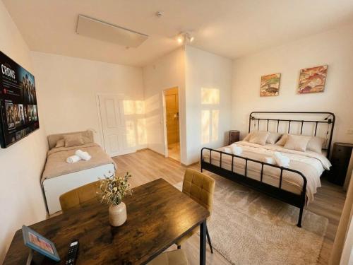 Newly renovated city apartment, near Schönbrunn - T19