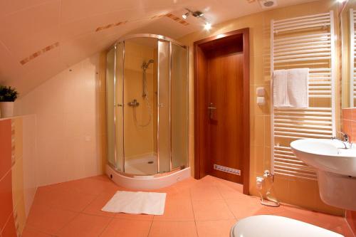 a bathroom with a shower and a sink at Apartmán Lípa-Lipno in Lipno nad Vltavou