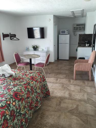 Kuchyň nebo kuchyňský kout v ubytování Pyramid Resort Motel