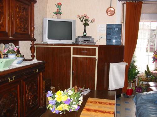 - un salon avec une télévision au-dessus d'une armoire dans l'établissement Auberge du Meygal, à Champclause