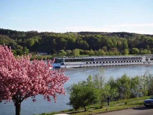 a cruise ship on a river with a flowering tree at Donau-Rad-Hotel Wachauerhof in Marbach an der Donau