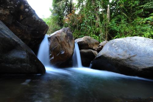 Gallene Gala Nature Resort