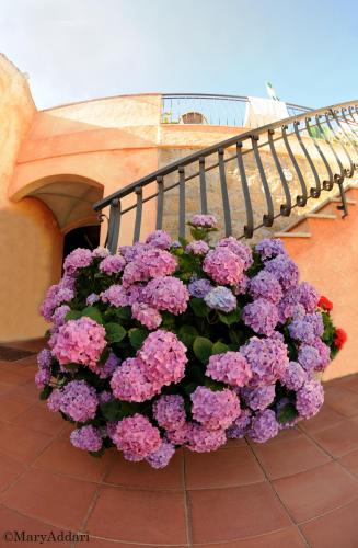 a large bouquet of purple flowers sitting next to a staircase at Hotel Villa Gemella in Baja Sardinia