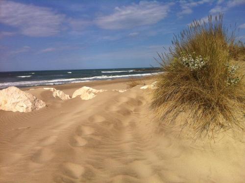 a sandy beach with grass and rocks and the ocean at Maébrilu Camargue Provence in Salin-de-Giraud
