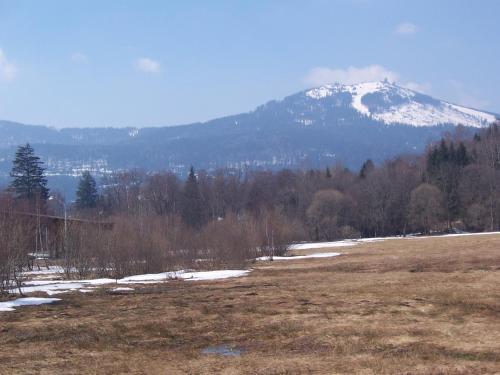 a snow covered mountain in the distance with a field at Pension Arbersonne in Bayerisch Eisenstein