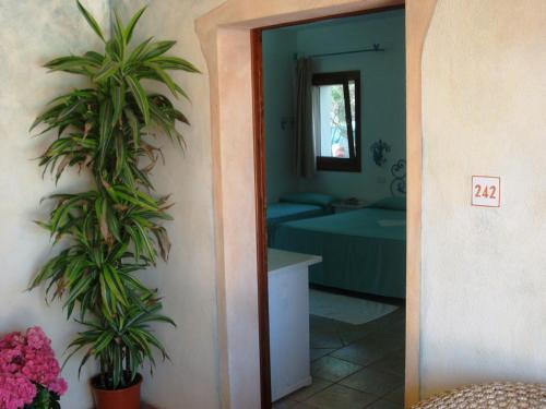 a hallway with a room with a bed and plants at Hotel Villa Gemella in Baja Sardinia