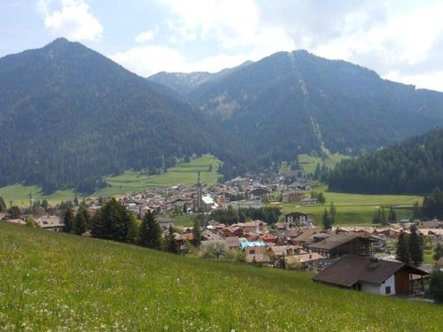 a small town on a hill with mountains in the background at Residence Dolomia in Pozza di Fassa